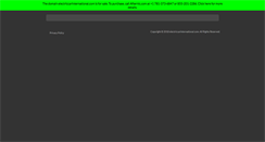 Desktop Screenshot of electriccarinternational.com